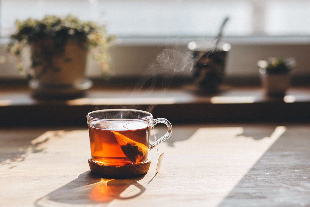 A warm cup of tea steaming in soft morning light on a windowsill beside small plants, a quiet moment of calm