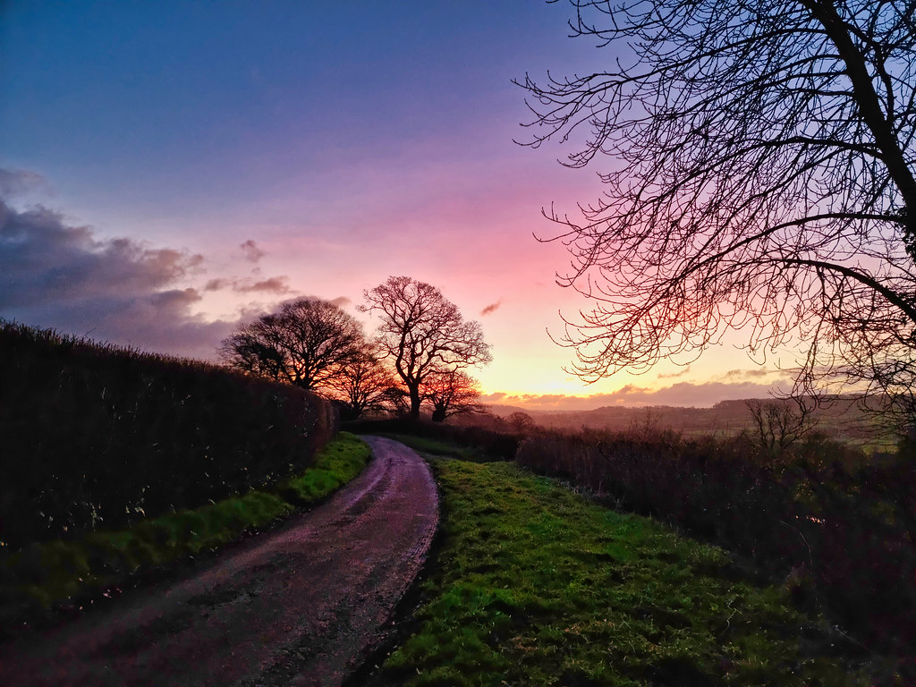 A quiet country path curving gently toward a soft sunrise, suggesting a calm way forward